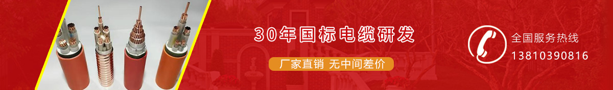 中部广告