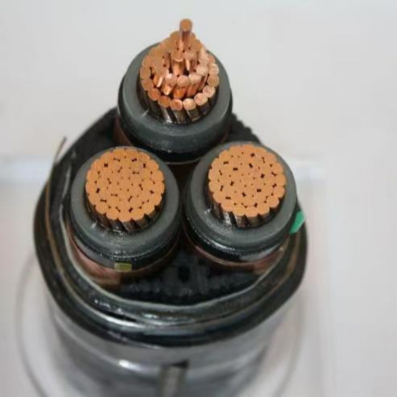 1758856009566599.jpg 煤矿用铠装电缆.jpg